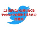 これ知らないと滑りまくるツイッター企画術を教えます 月収100万超えの起業家さんから教わりました イメージ1