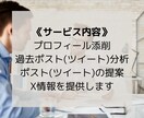 X(Twitter)運用のお手伝いします X運用でお困りのあなた、私を壁打ちに使ってください！ イメージ2