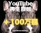 YouTube再生回数100万回増加まで宣伝します 数量限定価格✨100日間の保証付き✨他を凌駕する再生回数 イメージ1