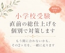 小学校受験 直前2ヶ月の総仕上げを個別で対策します もう間に合わないかも。その2ヶ月を、一緒に走ります イメージ1