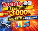 初心者歓迎！YouTube動画を見やすく編集します ひとりまで動画6本まで3000円！見やすい動画に仕上げます イメージ1