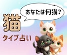 あなたを猫にたとえて占います 猫タイプ占いで見つけるあなたの魅力と幸運への鍵 イメージ1