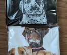 オリジナルTシャツを作ります ペットの似顔絵や個性的なデザインをファッションとして イメージ1