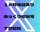 5名限定　Xのフォロワーお値打ちに増やします 実績作りのため、お試し特価でのご提供です! イメージ10