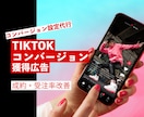 TikTok広告の設定代行やレクチャー致します 【コスパ重視】で複雑な設定、お悩みを解決！ イメージ1