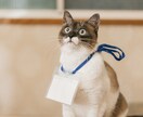 あなたのソーシャルサポートになります いつもと違い不安・悲しみ・怒り・緊張等のある方、話し聞きます イメージ1