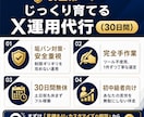30日無休 完全目視手作業でX運用代行します 認知拡大のお手伝い安全な運用で初中級者向けです イメージ1