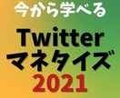Twitterマネタイズの極意を基礎から教えます 後発で出来る0→1マネタイズ法をステップbyステップでご説明 イメージ1
