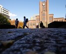 即日納品可能！！写真の画像加工をさせて頂きます いい写真を更に映えるよう、他には主に風景画を加工致します。 イメージ9