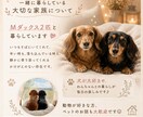 普通が苦しい・生きづらい方のお話聴きます 同じ生きづらさを経験しています。私に話してみませんか？ イメージ5