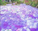 繊細さんのお子さんを持つお母さんの悩みを伺います 心理学NLPの資格を持ち、心に響く言葉を届けます。 イメージ3