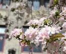 北京大学留学経験者が留学生活相談行います 【留学経験者が解決】北京大学留学の不安を解消します！ イメージ2