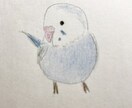 セキセイインコ ちゃんお描きします 色鉛筆と鉛筆で、やわらかい雰囲気のインコちゃんをお描きします イメージ3