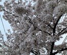 1分でも大丈夫！どんな話でも聞きます 寂しさを感じる嫌な出来事があったときこそ思いを声に出してみて イメージ2
