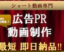 商品・サービスのPR用ショート動画を作成します SNS用のショート動画を最短即日作成！！ イメージ1