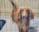聞いてほしい話し聞きます 悩みは一緒に解決の糸口見つけましょう イメージ1