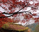 素材用写真（風景等）撮ります 素材用の写真（風景などがメイン）が欲しい方に イメージ5