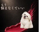 復縁専用♡どうしても思い出すあの人の気持ち占います 複雑愛│音信不通・今のカレの本音など深くしっかり鑑定します イメージ1
