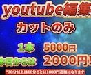 カット編集のみ格安対応します カット編集のみ格安で対応します！ イメージ1