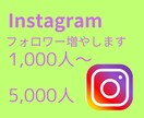 インスタグラムのフォロワー１０００人以上増します フォロワー数が多くなることであなたの信頼性がアップします。 イメージ1