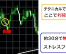 天底GOLDロジックの裏技手法教えます スマホやPCでトレード！安定したGOLD専用ロジック！ イメージ4