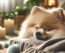 初回限定価格｜ペットを丁寧にヒーリングいたします 大切なペットに元気でいてほしい飼い主様のためのサービスです イメージ3