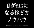目がBIG！お金の稼ぎ方マニュアルをお渡しします 副収入が欲しい！スキルや知識がなくても即実践できるノウハウ イメージ1