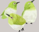 リアルな鳥のイラストを可愛らしく描きます 鳥のふわふわとした質感も表現できます。 イメージ6