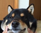 とにかく話を聞いて欲しい方！何でも話聞きます 仕事、恋愛、人生相談、転職、愚痴etc イメージ3