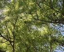 学術・ビジネス文章の日中翻訳を丁寧に対応します 在日中国人。大学院で勉強中。日常文から専門文まで対応可能！ イメージ1