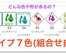 あなたの大切なペットの写真からステッカー風の画像に加工いたします。 イメージ2