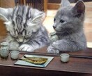 貴方の心の隙間を埋める話し相手になります 誰かと触れ合いたい、話したいそんな貴方の願い叶えます イメージ1