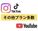 X（Twitter）日本人フォロワー増やします ✨20名様限定価格！高品質日本人フォロワー100名〜増加✨ イメージ3