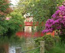 写真の交換っこしながら、相談、占いします まだ見たことのない写真見てみたいです。相談　占い　霊感霊視 イメージ8