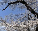 ワンコインで恋愛の悩み1つ答えます ワンコインで恋愛のお悩み全般を1つサクッとお答えします。 イメージ1