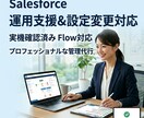 Salesforce運用支援をします 設定変更や管理者補助を丁寧に支援します イメージ1