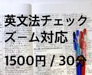英語文法チェックします 初心者英語〜ビジネス英語まで。ズーム対応です。 イメージ1