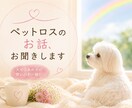 ペットロス☁️忘れられない大切な子のお話聞きます ペットロス/涙/後悔/感謝/寂しい/会いたい イメージ1