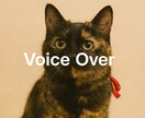 優しい朗読・癒し系ナレーションを丁寧に収録します 落ち着いた声で、やさしく寄り添うナレーションをお届けします。 イメージ2