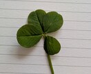 急に不安になった時などどんなことでも聞きます 誰かと話したい時ありますよね〜1人で抱え込まないで下さいね〜 イメージ1