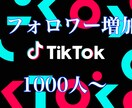 tiktokフォロワー増やします 多国籍のフォロワーに宣伝致します！ イメージ1