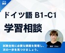 ドイツ語B2・C1試験対策 学習相談します ドイツ語B2・C1の悩みをプロと解決 イメージ1