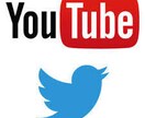 Youtuber向け動画拡散します Youtuber向けTwitterで動画拡散します イメージ1