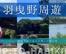 魅力的なサムネイルを作成します 視聴者の目を引く魅力的なサムネイルやバナーを作成します。 イメージ3