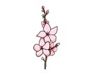 お花のイラスト描きます あなたのお気に入りの花のイラストを描きます！ イメージ2