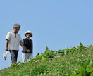 あなたの幸福度を診断します 進化に基づいた本質的な幸せを感じてますか？ イメージ1