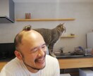 離島移住オープンリーゲイが心の悩みを聞きます あなたは既に答えを知っています。 イメージ2