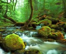未来の扉→ あなたの未来を明るく照らします 迷いや不安を解消し、あなたが進むべき道を明確にします。 イメージ3