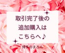 プロフィール添削後の追加指導の購入画面となります 写真の追加、やり取りのアドバイス、お付き合い後のアプローチ イメージ1