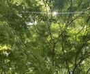30分貴方だけのために、心から返信します LINE感覚で!何往復でも長文でもOK!楽しくお話しましょ イメージ2